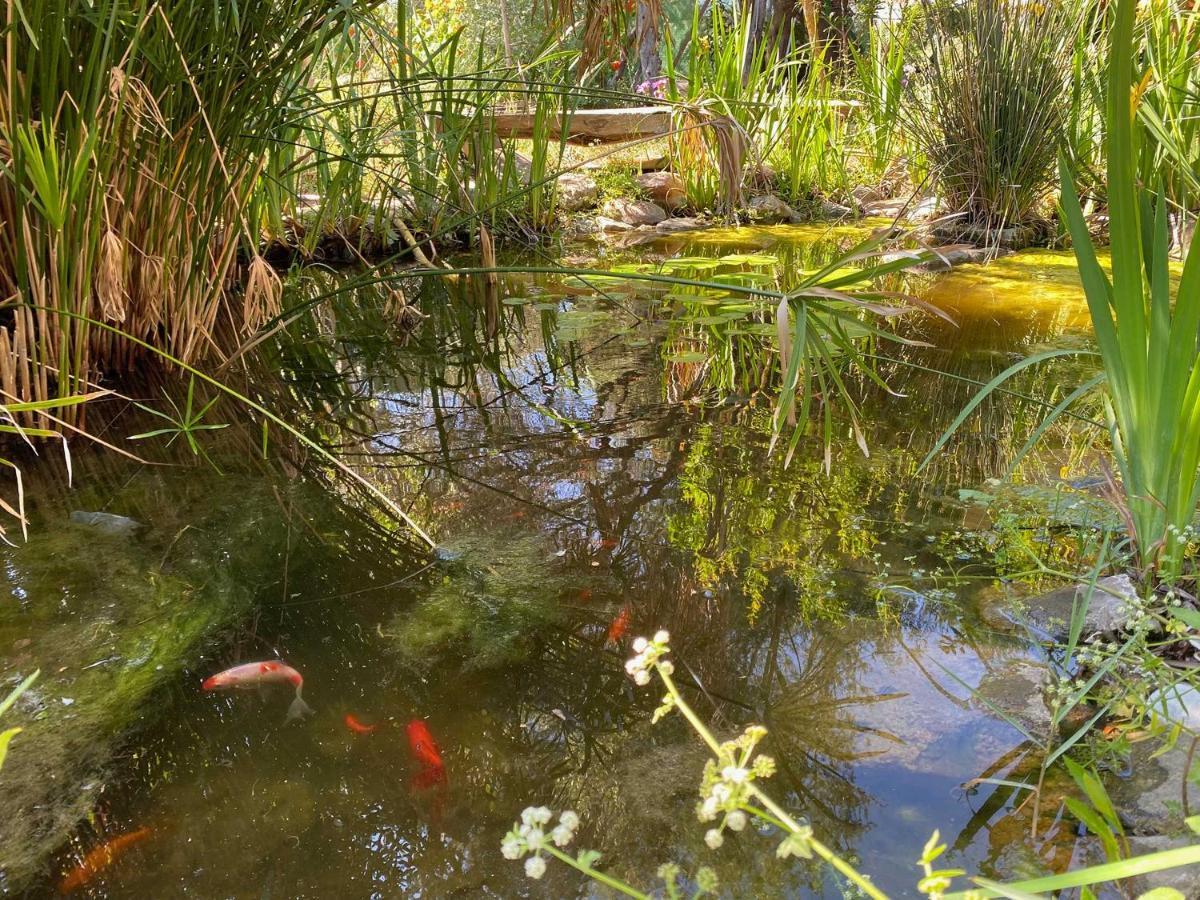 El Canto De Las Ranas Villa Barbate Esterno foto